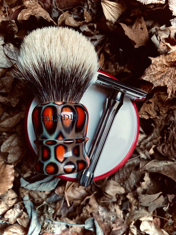 SOTD-20220312.jpg