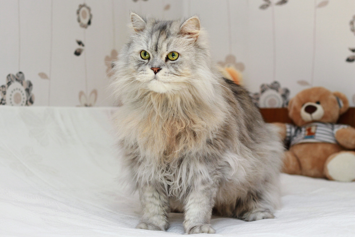 115BF666-D23A-430F-96C6-603C7C30EAD5