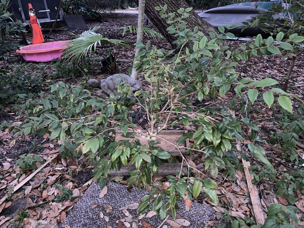 0E6E833B-77BD-4965-B4A2-6F2A4713E744