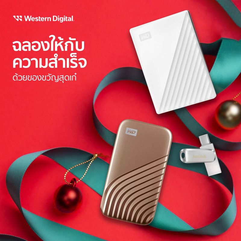 Western Digital3