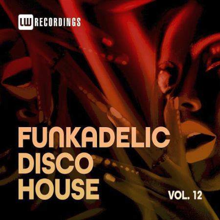 VA - Funkadelic Disco House 12 (2021)