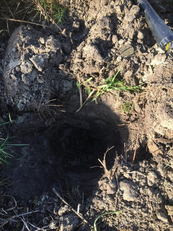 D9E53BF3-EF44-480C-A860-E5E22AB854E6