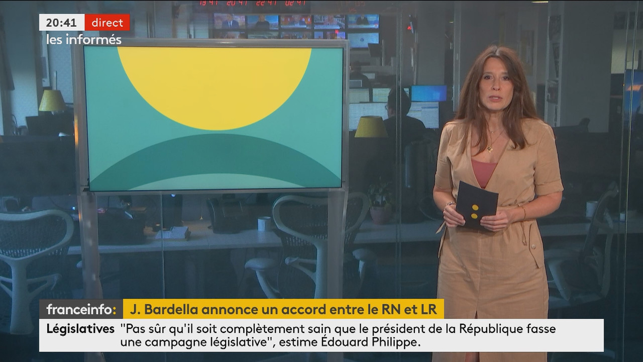Les informés du soir (Franceinfo)_2024_06_11_19_03_88.ts_snapshot_38.56.540
