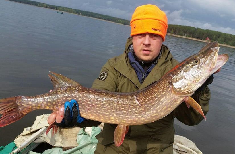 Карты 20277088_1829508653995198_985948058204678251_n джиг спинни