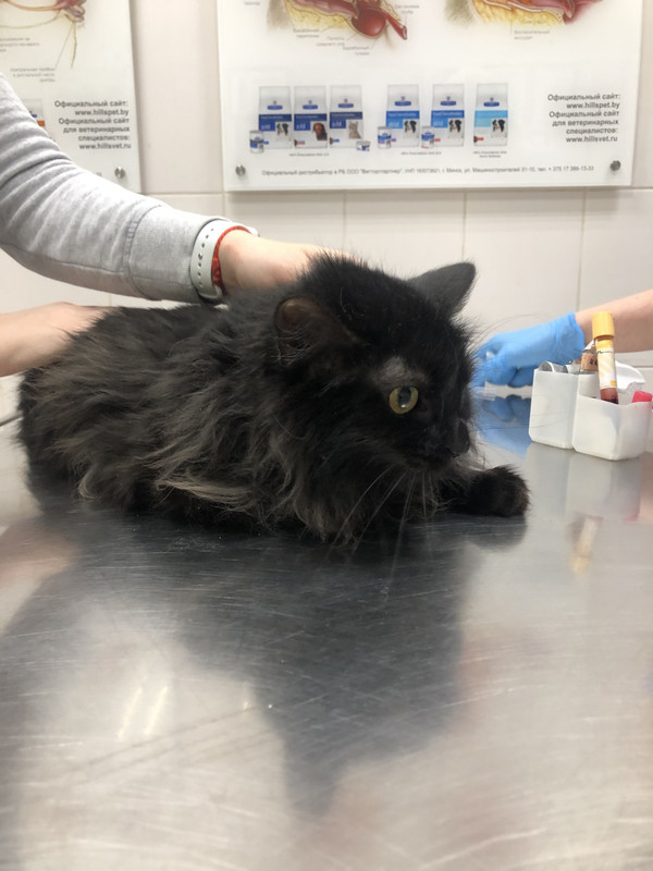 0B728A09-02E6-4E44-823E-0BB75B114807