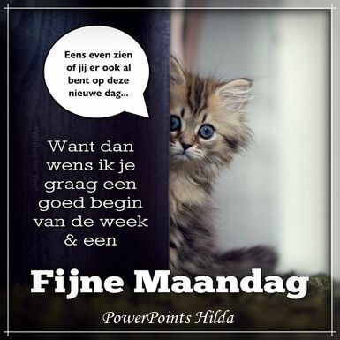 Fijne-Maandag