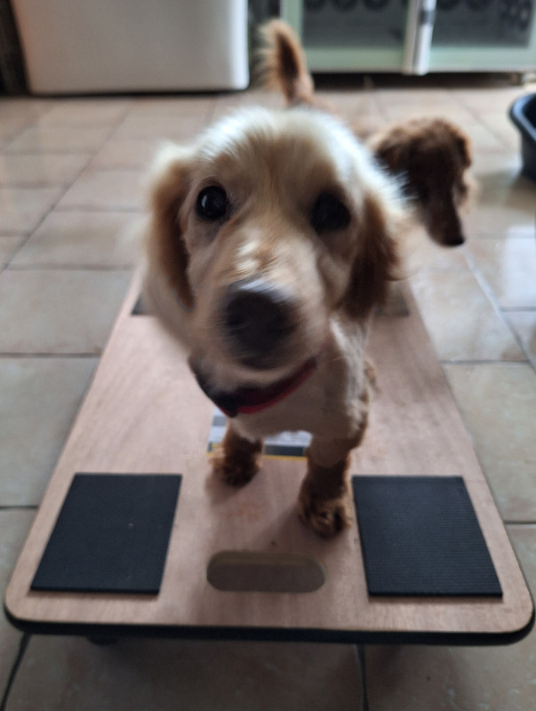 [Image: 20240321-174034.jpg]