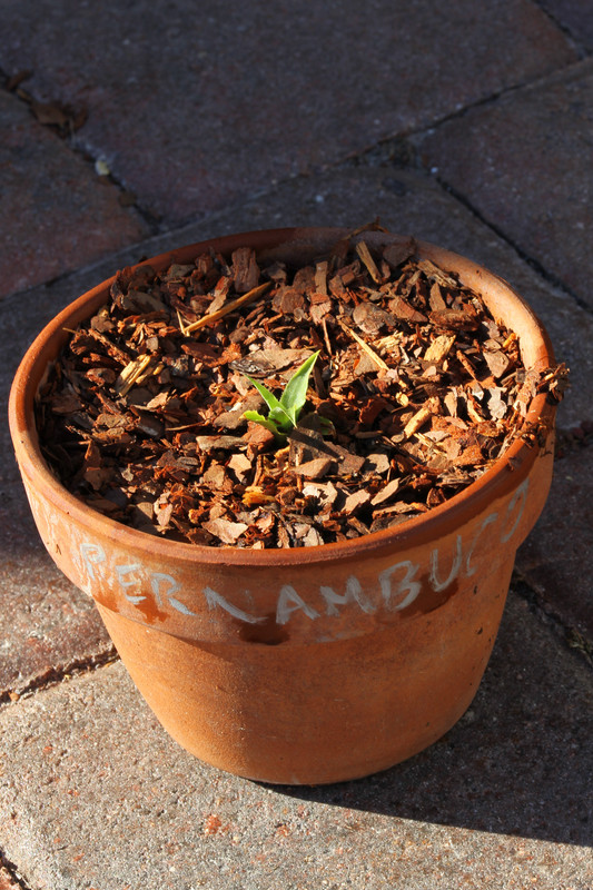 6963FB3E-384D-4747-9EE4-C6994E4E395F