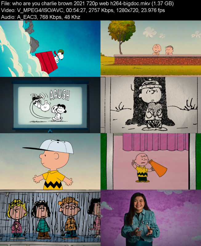 who-are-you-charlie-brown-2021-720p-web-h264-bigdoc.png