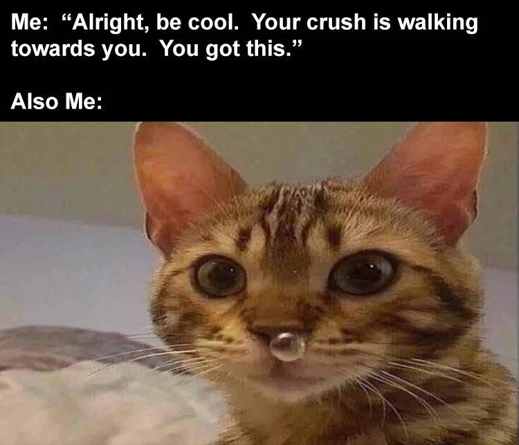 snot_bubble_when_approached_by_crush.jpg