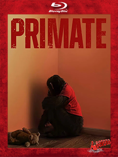 Primate.2026.BD25.Latino Primate.2026.BD25.Latino