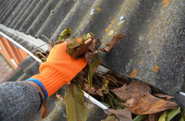 milton-keynes-gutter-cleaning-1.jpg