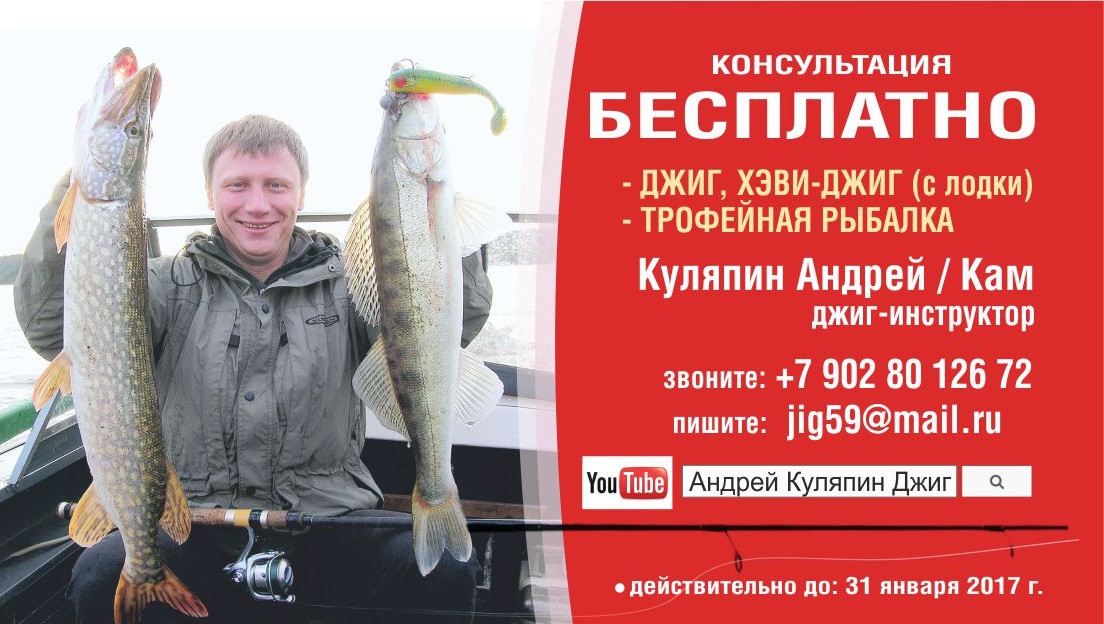 Визитка_Куляпин Андрей_Кам — копия