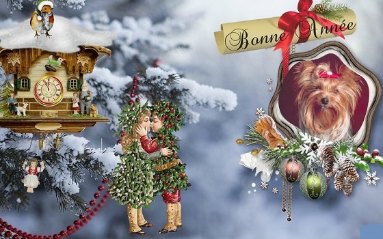 pixiz 27 12 2025 17 14 20