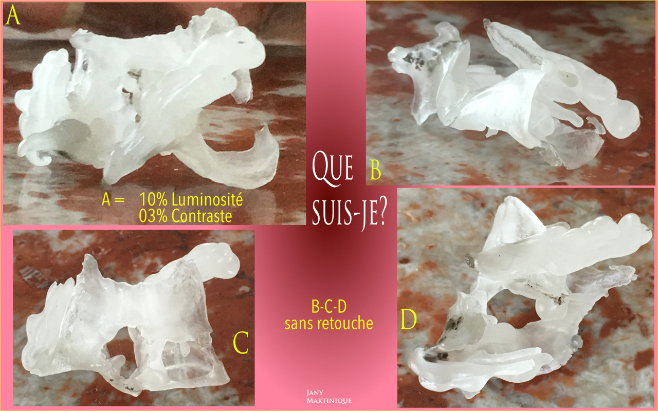 *Objet insolite Que suis-je?