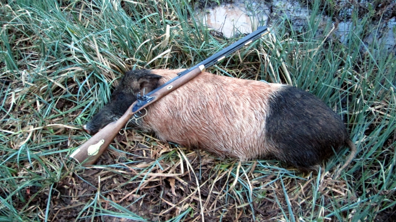 Traditions Hawken Woodsman FLINTLOCK Review IMG-6795