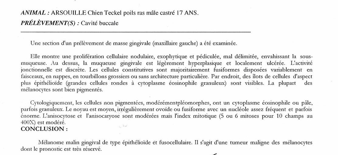 [Image: Num-risation-20220522.jpg]