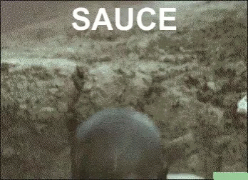 tenor-2.gif