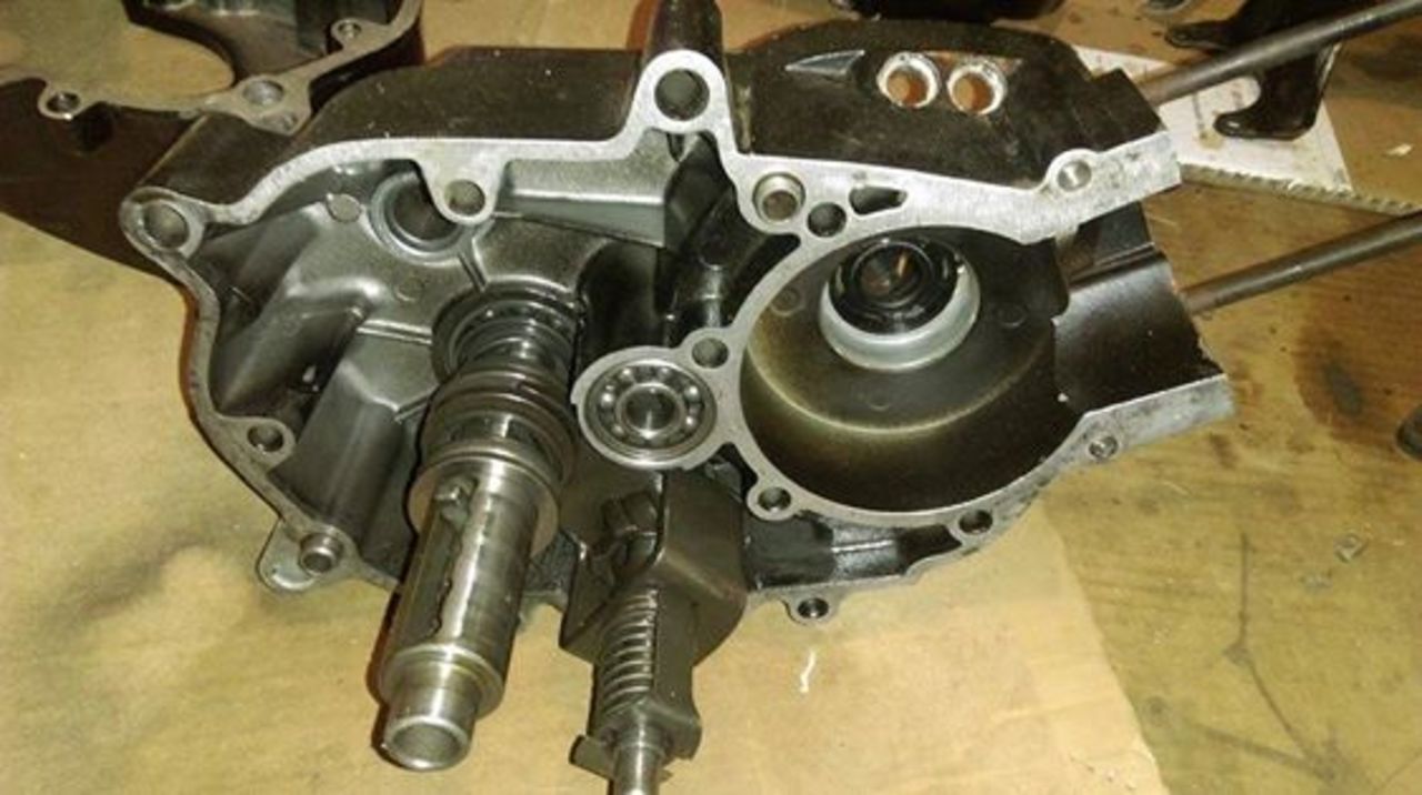 12029026_10208019910879599_792136562_n