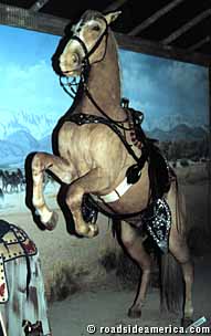 34421CED-61DA-462A-9E82-74C0B0863829