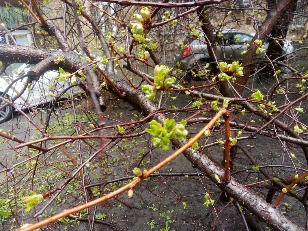 photo_2025-04-01 8.17.56 пп