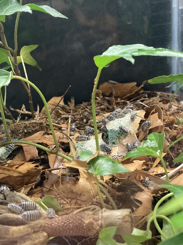 F066B5C4-F6BC-49FD-B381-4E73CD98921C