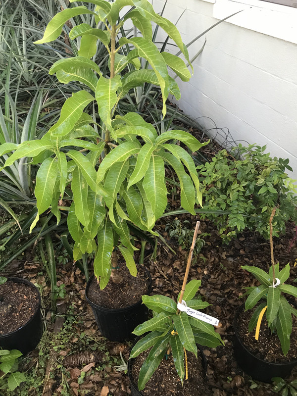 37108737-0BFF-4277-B22F-E4A8C9BE477B