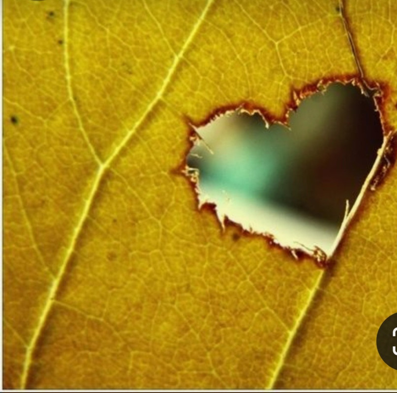 Screenshot_20240214_171827_Pinterest