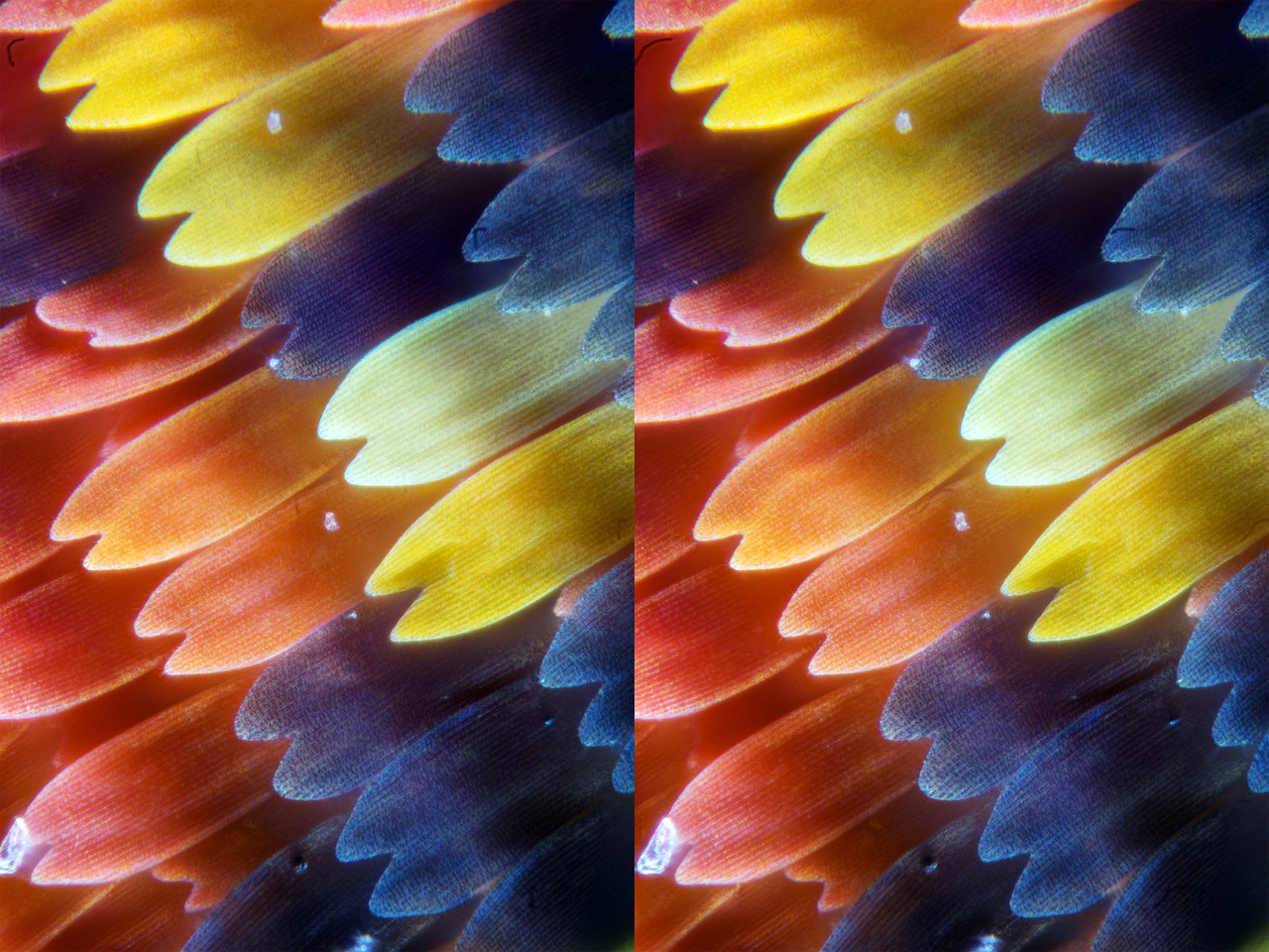 Stereo 2 6 Cross TPnd 4K