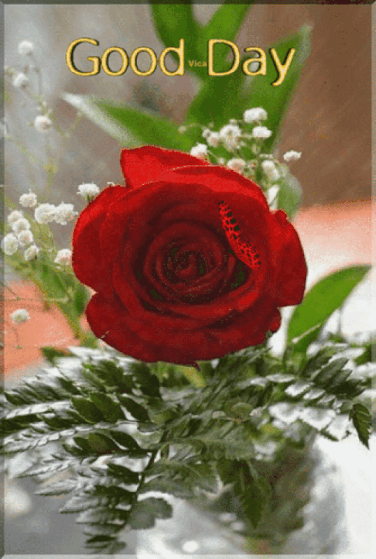 An den Beitrag angehängtes Bild: https://i.postimg.cc/50qcFnMV/oie-11115751-Au-SLFCPG.gif