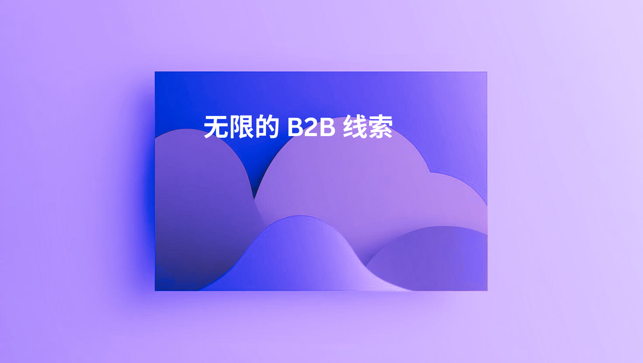 无限的 B2B 线索