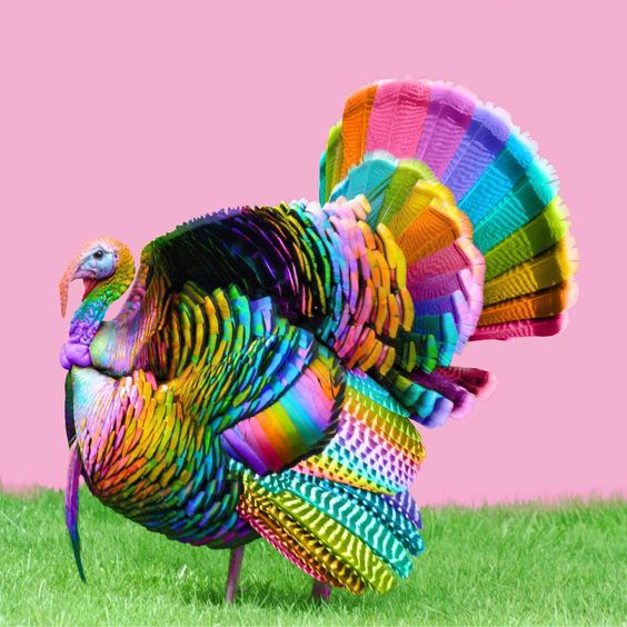 multirooster.jpg