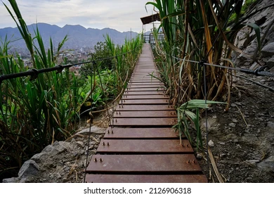 seen-recreational-center-hidden-jungle-2