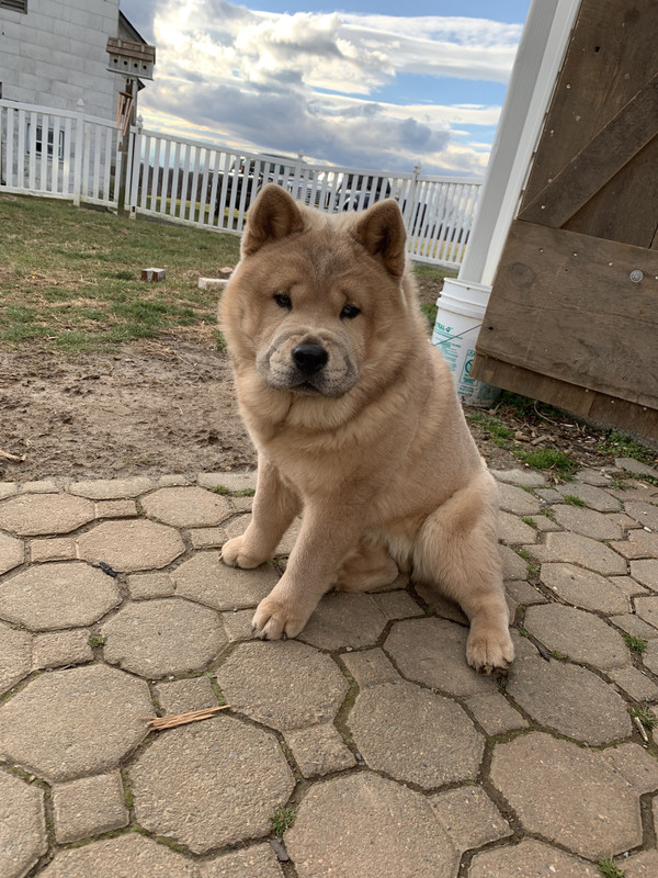 AB9E4807-0094-4FF2-954A-CF451D28200C