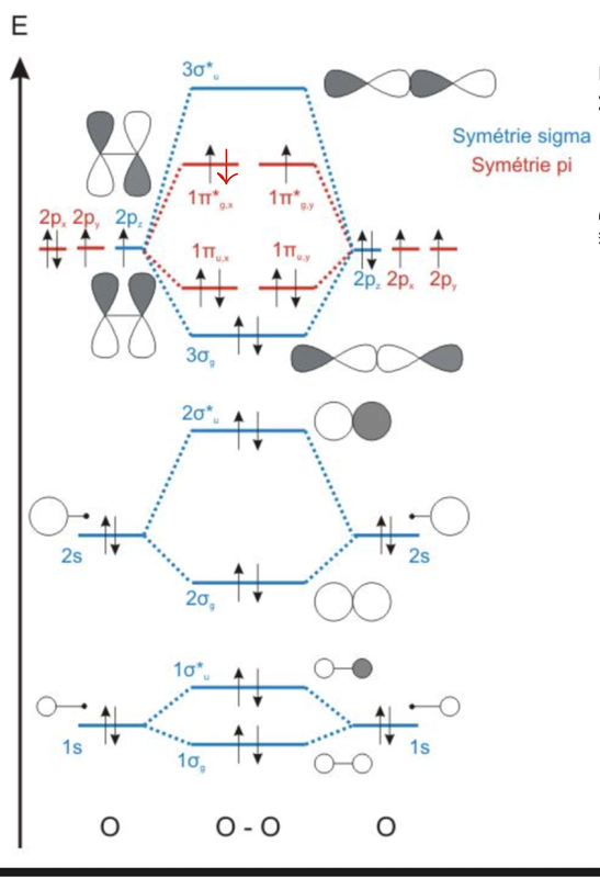 Capture d’écran 2023-12-04 à 16.08.05