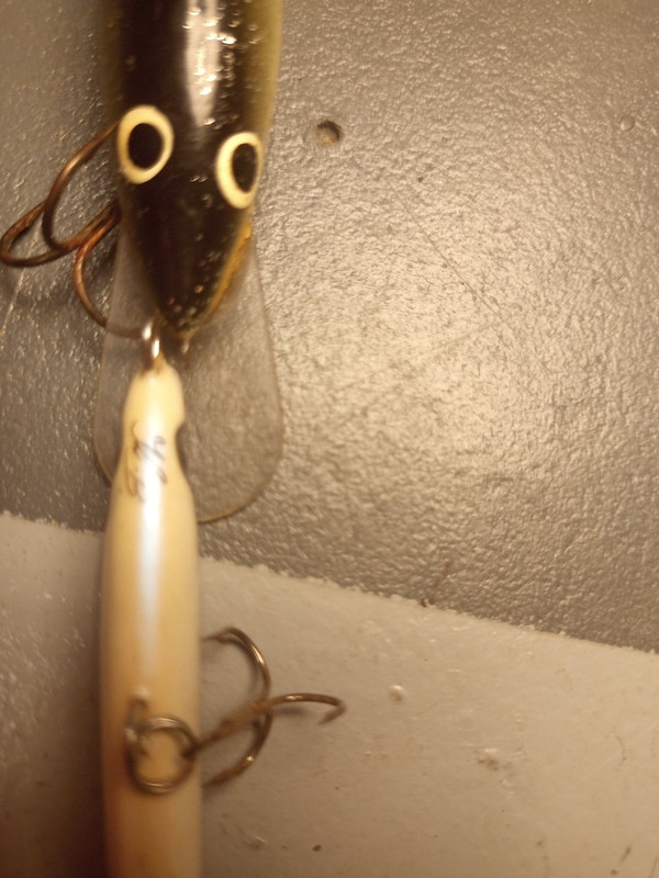 300862977-3321704101408143-8001434663839