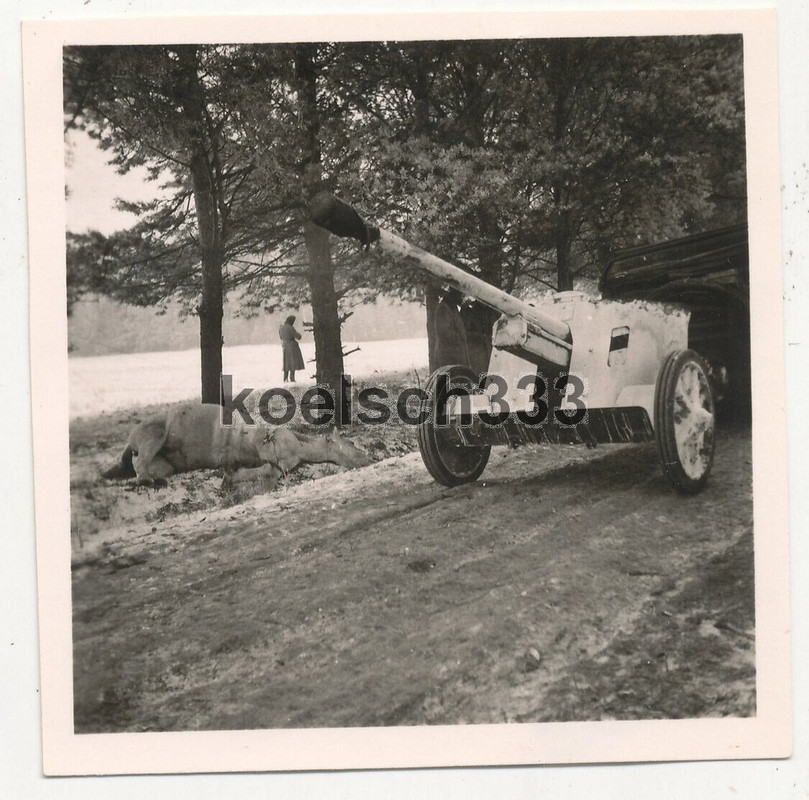 Foto Panzerjäger mit 5cm PaK Geschütz auf dem Vormarsch nach Moskau ... !