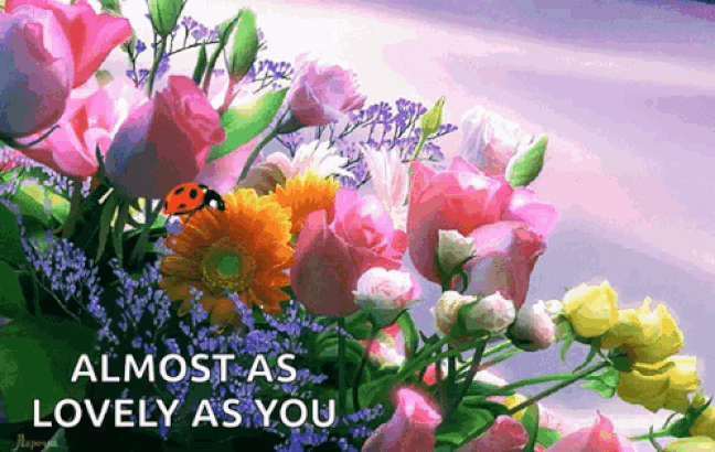 An den Beitrag angehängtes Bild: https://i.postimg.cc/50rMzjNy/oie-248634sdo-Dq-TWf.gif