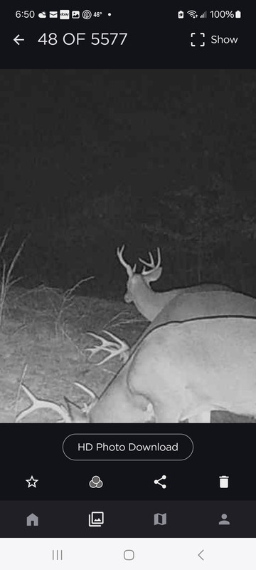 Screenshot_20241117_065038