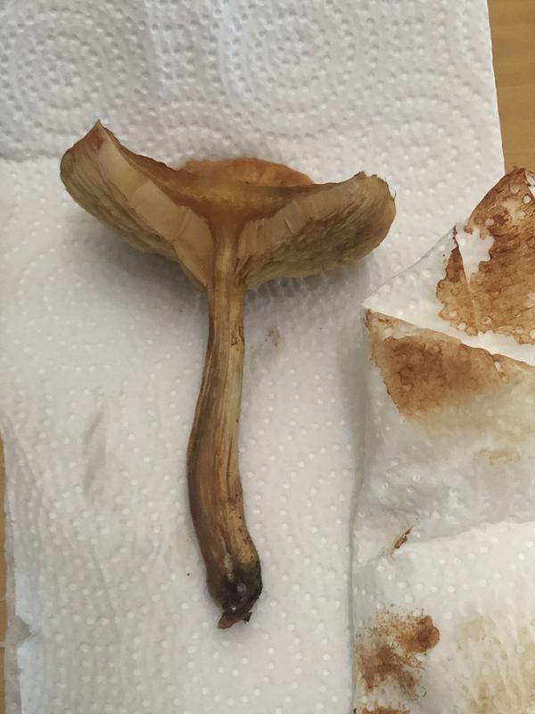 17758E56-2A34-4263-922B-E3045EBB2C86