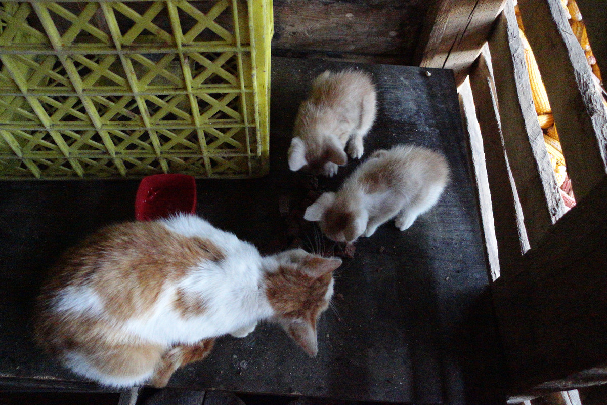 DSC03576.jpg