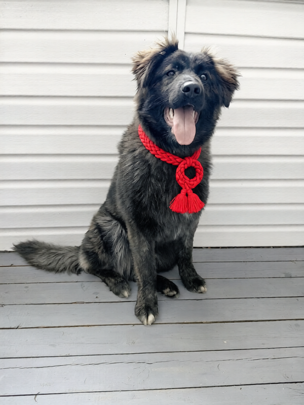 37rxbptq5nrmt0cx54ys7fb3wc result 0