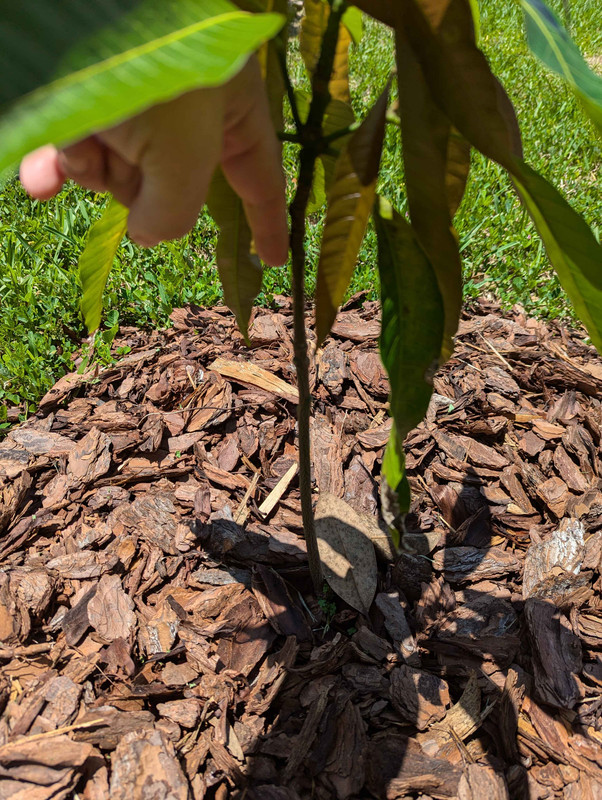 PXL_20240624_164044135