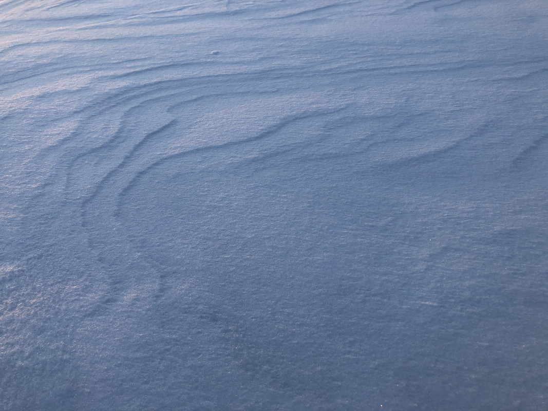 CA957BB3-3607-4E1D-8CC2-B7E3EAE205D0