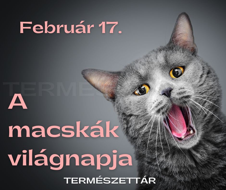 https://i.postimg.cc/50sD6RLj/480188936-1051567330346530-1016848266866430177-n.jpg