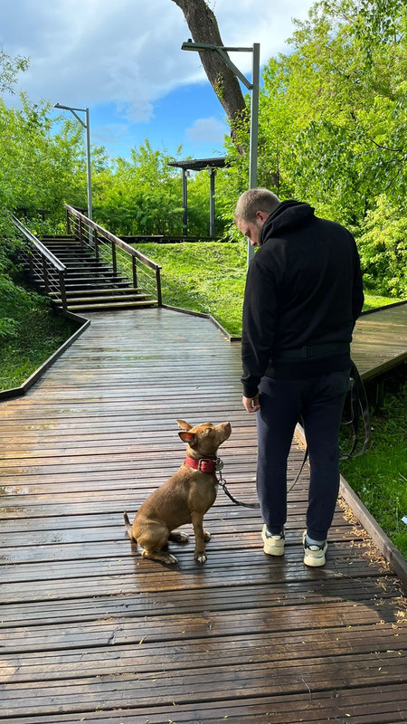 FD30D515-121B-4838-967F-74BF8B980CC9