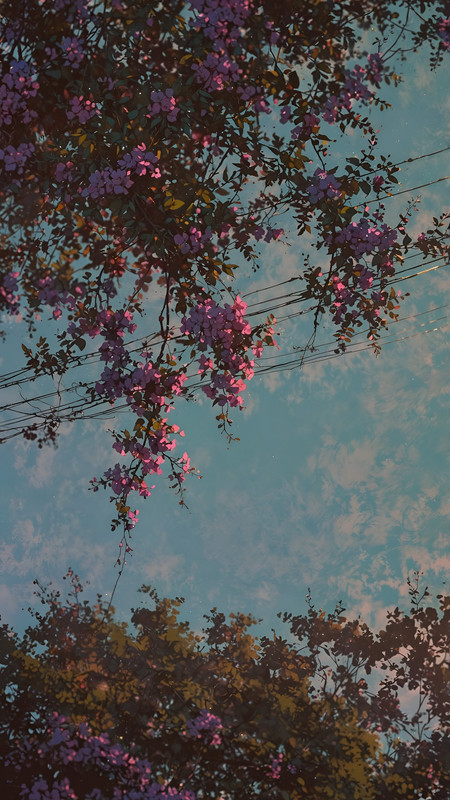 504154801_17905538478177888_7019912989858280133_n (1)