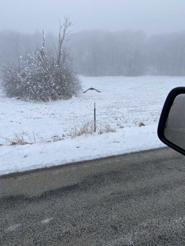 B7CF4B86-010B-4F24-8282-851DDF9E3A2A