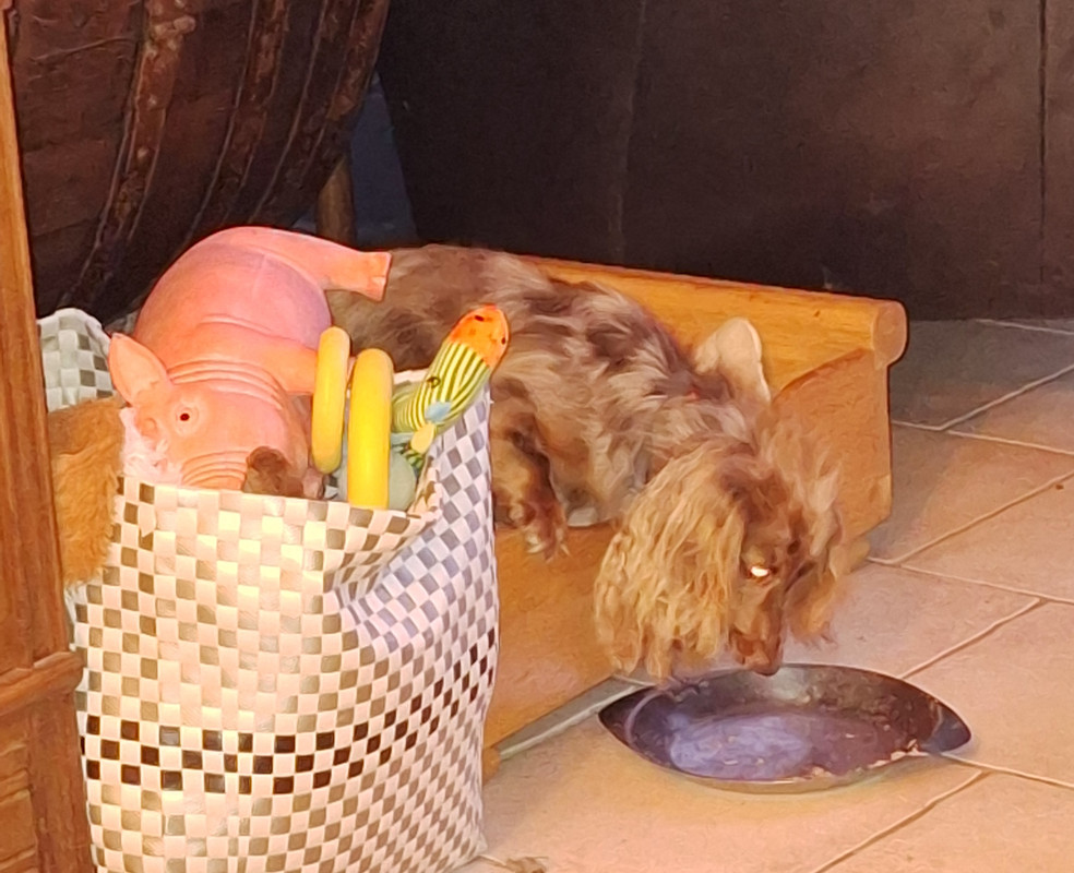 [Image: 20241017-192436.jpg]