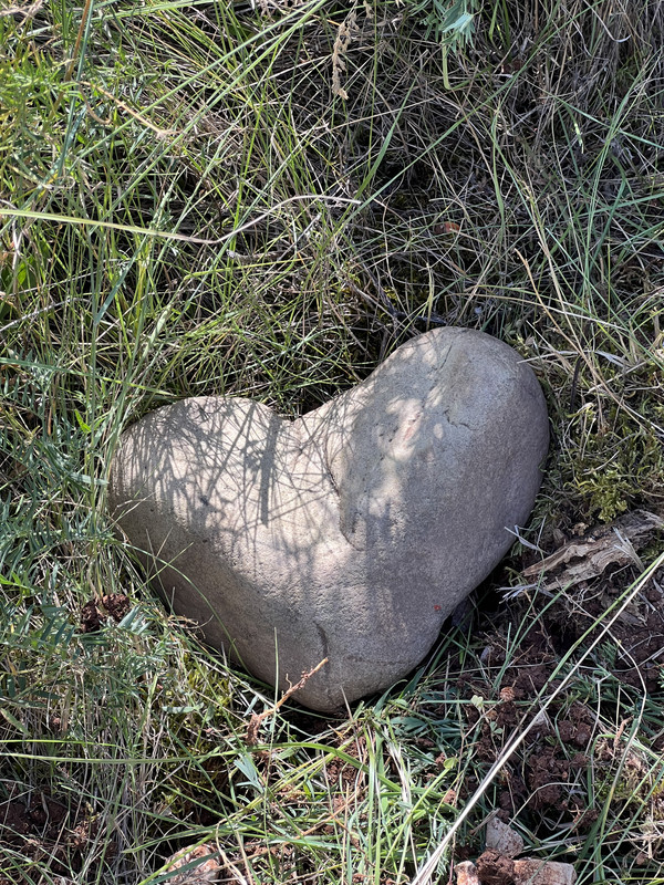 [Image: IMG-5578.jpg]